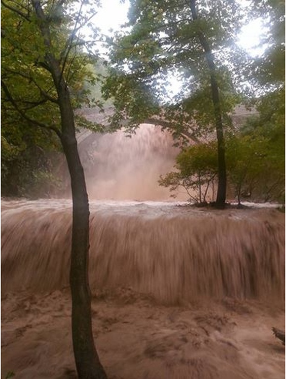 Η κακοκαιρία έπληξε την Παλαιοκαρυά Τρικάλων – Δείτε τις απίστευτες εικόνες