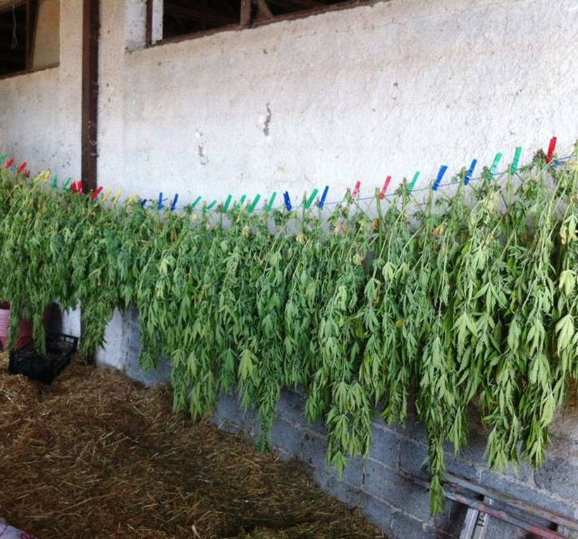 Λέσβος: Εξαρθρώθηκε εγκληματική ομάδα που διακινούσε μεγάλες ποσότητς χασίς (pics&vid)