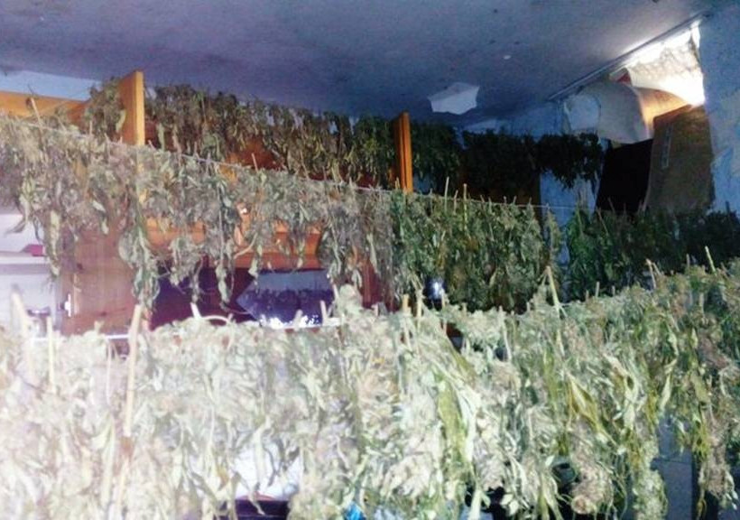 Λέσβος: Εξαρθρώθηκε εγκληματική ομάδα που διακινούσε μεγάλες ποσότητς χασίς (pics&vid)