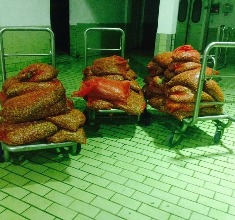 Αλεξανδρούπολη: Κατάσχεση μεγάλης ποσότητας ακατάλληλων οστράκων (pic)