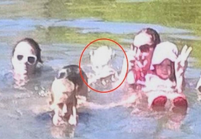 Κολυμπούσε στο ποτάμι όταν κατάλαβε ότι δεν ήταν μόνη - Δείτε και θα ανατριχιάσετε!