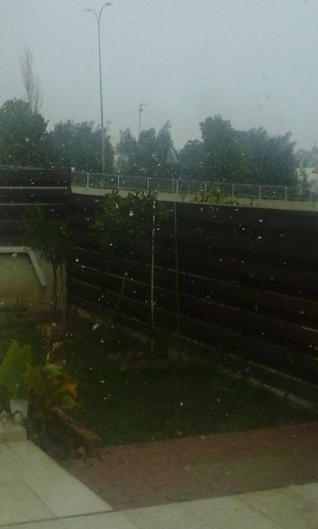 Στα άσπρα η Κύπρος, χιόνισε ακόμα και στη Λευκωσία (pics)