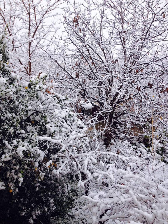 Στα άσπρα η Κύπρος, χιόνισε ακόμα και στη Λευκωσία (pics)