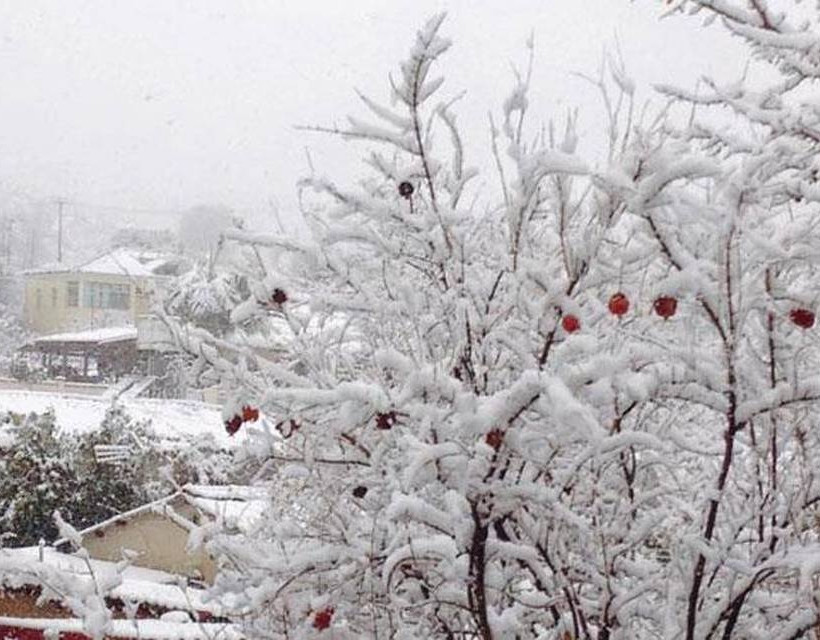 Στα άσπρα η Κύπρος, χιόνισε ακόμα και στη Λευκωσία (pics)