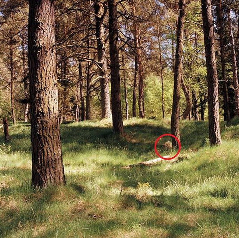 Εσύ μπορείς να βρεις τον κρυμμένο Γερμανό σνάιπερ σε αυτές τις φωτογραφίες;