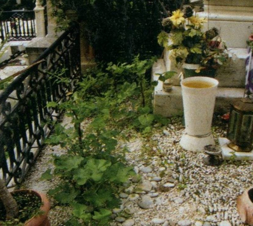 Δείτε πώς είναι σήμερα ο τάφος του Δημήτρη Παπαμιχάηλ! (photos)