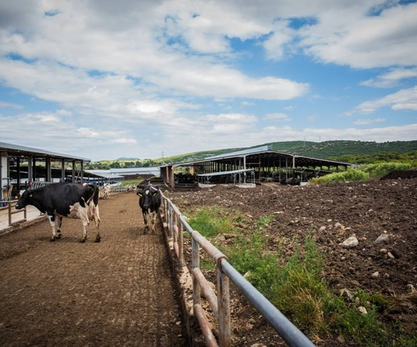 Ό,τι αξίζει, φαίνεται στα γαλακτοκομικά προϊόντα