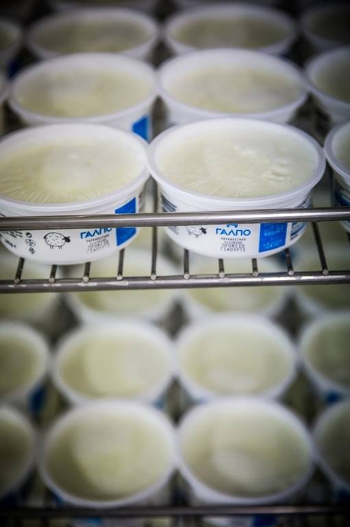 Ό,τι αξίζει, φαίνεται στα γαλακτοκομικά προϊόντα