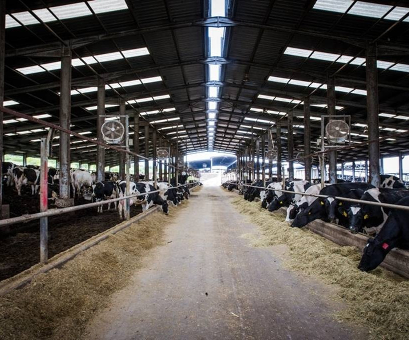 Ό,τι αξίζει, φαίνεται στα γαλακτοκομικά προϊόντα