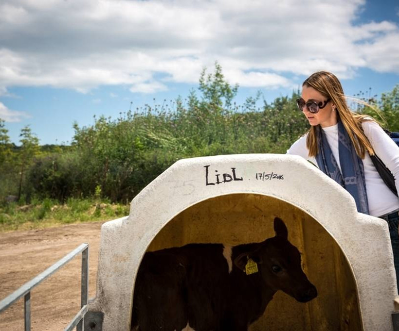 Ό,τι αξίζει, φαίνεται στα γαλακτοκομικά προϊόντα