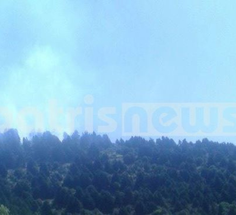 Μαίνεται η φωτιά στην Κρυόβρυση Αρχαίας Ολυμπίας (pics)