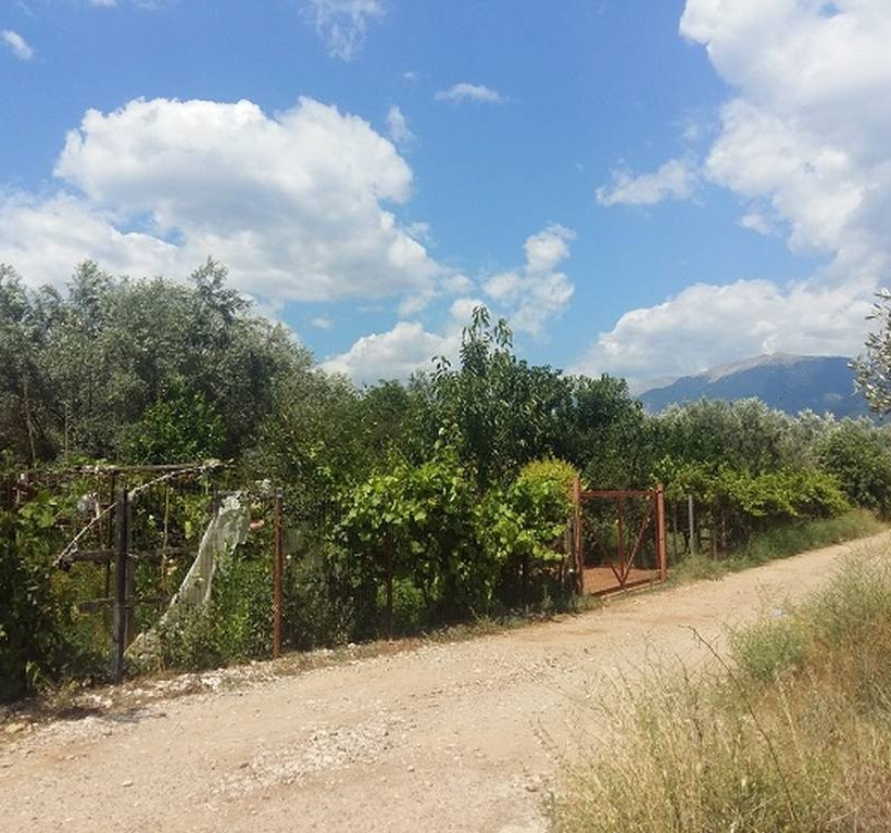 Αγρίνιο: Θρίλερ με ηλικιωμένο που βρέθηκε νεκρός με τραύμα στο κεφάλι! (pics)