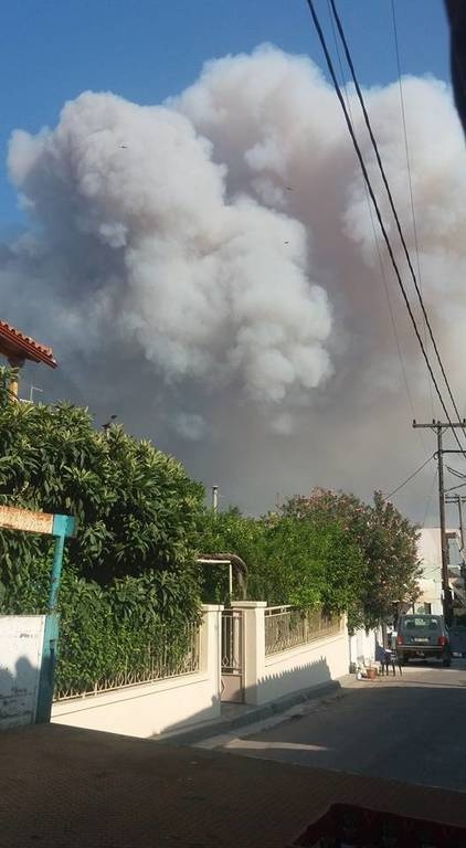 Πύρινη κόλαση στην Εύβοια: Εκκενώνονται οικισμοί (pics)