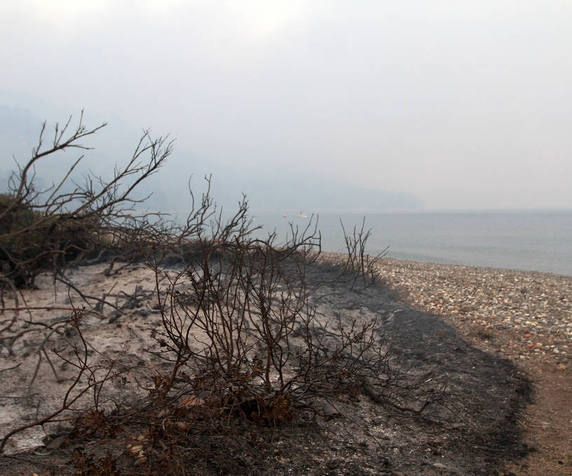 Φωτιά Εύβοια: Κρανίου Τόπος... (pics)