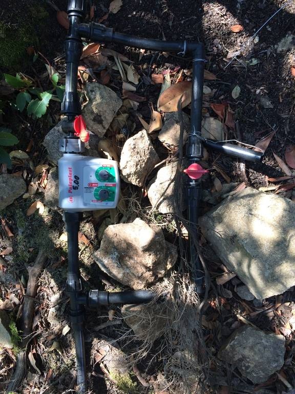 Φυτείες κάνναβης ανακαλύφθηκαν στη Σαμοθράκη (Pics)