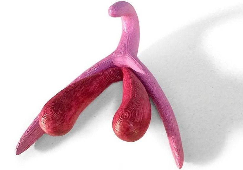 Απίστευτο: Έρχονται μαθήματα… κλειτορίδας στα σχολεία! (photo)