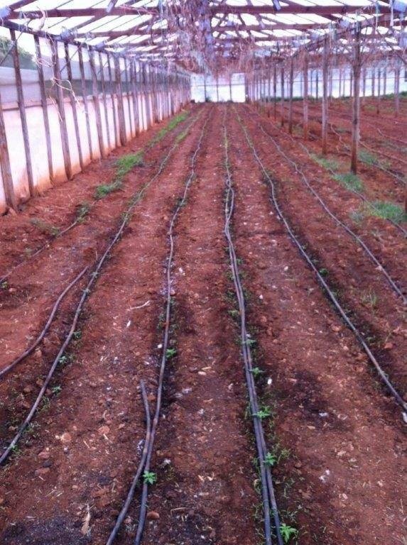 Έτσι δρούσε το μεγάλο κύκλωμα ναρκωτικών που πωλούσε ναρκωτικά στο κέντρο της Αθήνας