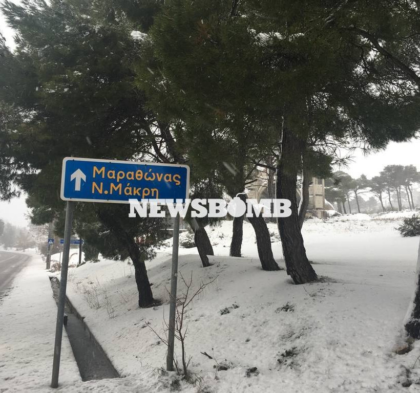 Καιρός Live – Χιονιάς σαρώνει την Αθήνα – Το «έστρωσε» και στα νότια προάστια