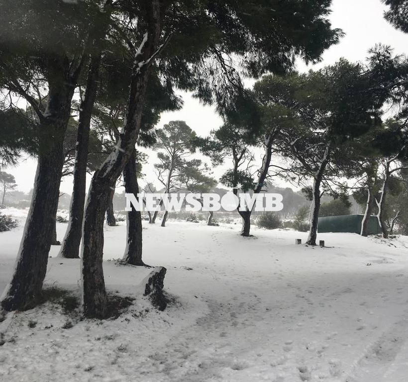 Καιρός Live – Χιονιάς σαρώνει την Αθήνα – Το «έστρωσε» και στα νότια προάστια