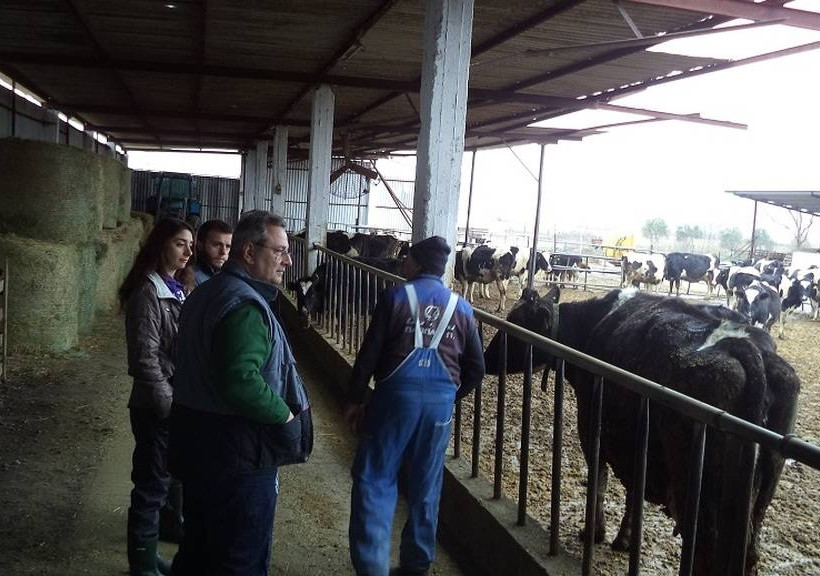 «Παιδεία Γάλακτος»: Εκπαιδευτικό πρόγραμμα γαλακτοπαραγωγών από την Κρι Κρι