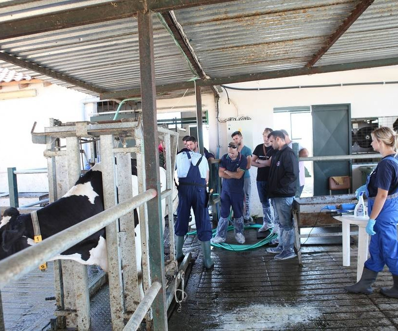 «Παιδεία Γάλακτος»: Εκπαιδευτικό πρόγραμμα γαλακτοπαραγωγών από την Κρι Κρι