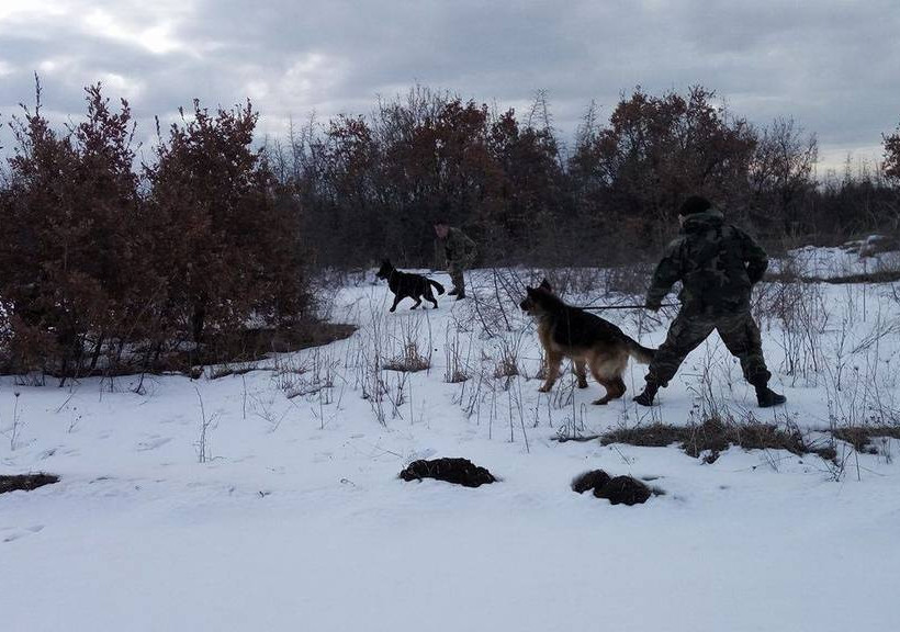 Στρατός Ξηράς: Τα σκυλιά των ενόπλων δυνάμεων εκπαιδεύονται...(pics)