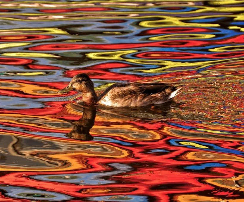 Τριάντα εντυπωσιακές φωτογραφίες που δε θα πιστεύετε ότι δεν έχουν επεξεργαστεί με photoshop 