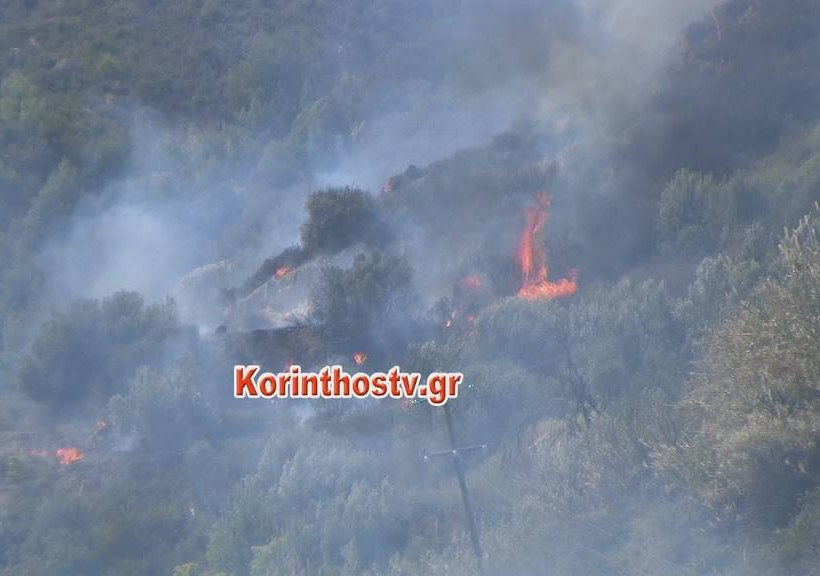 ΤΩΡΑ: Μεγάλη φωτιά σε χαράδρα στην Κόρινθο (pics&vid)