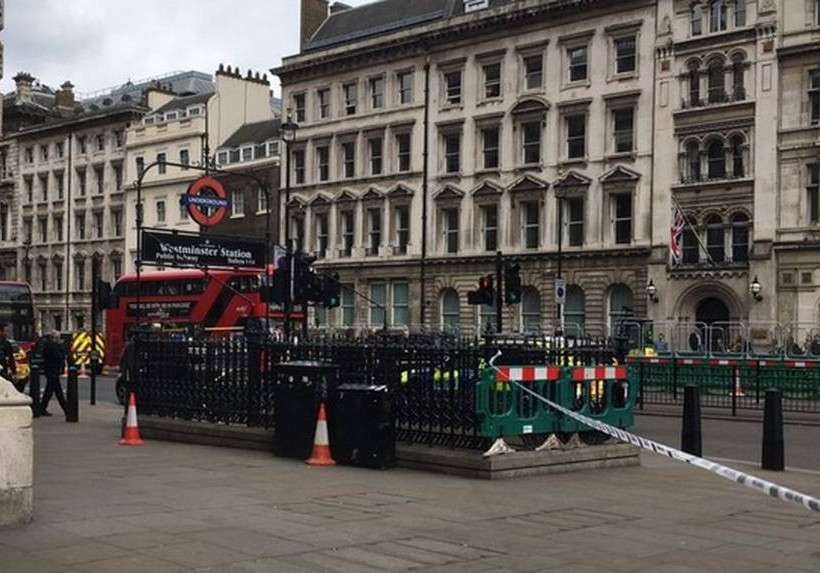 Man carrying bag of knives near UK Parliament arrested under Terrorism Act (pics)