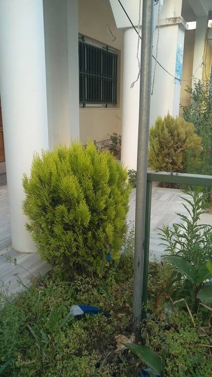 Νέα πρόκληση των Αλβανών κατά της ελληνικής μειονότητας: Κατέβασαν και έκαψαν ελληνική σημαία