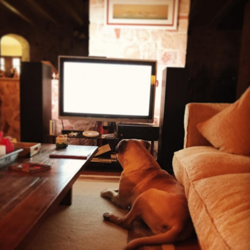 Survivor: Δείτε το εντυπωσιακό σπίτι του Κώστα Κοκκινάκη!