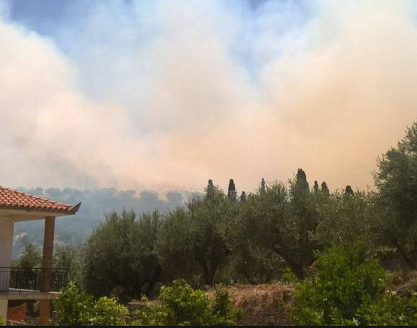 ΕΚΤΑΚΤΟ: Μεγάλη πυρκαγιά στην Κορώνη Μεσσηνίας – Στις αυλές σπιτιών οι φλόγες