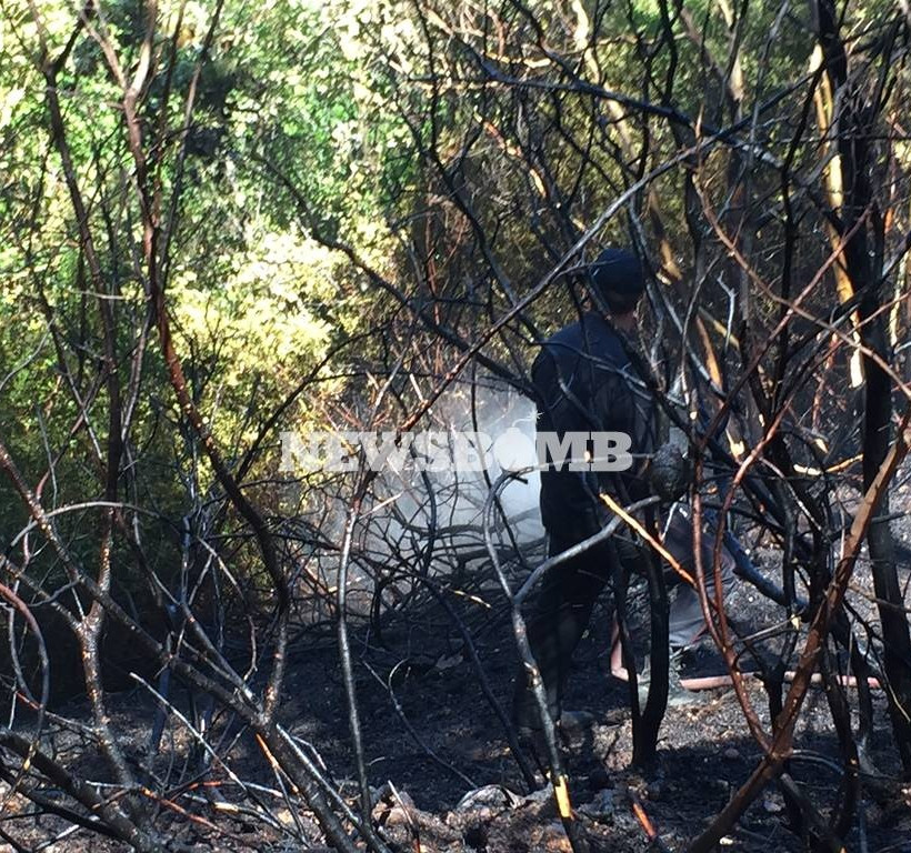 ΦΩΤΙΑ ΤΩΡΑ: Μεγάλη πυρκαγιά μαίνεται στο Κρυονέρι