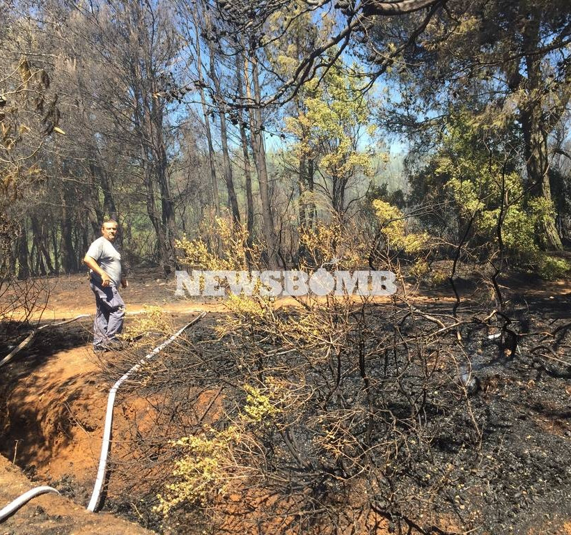 ΦΩΤΙΑ ΤΩΡΑ: Μεγάλη πυρκαγιά μαίνεται στο Κρυονέρι
