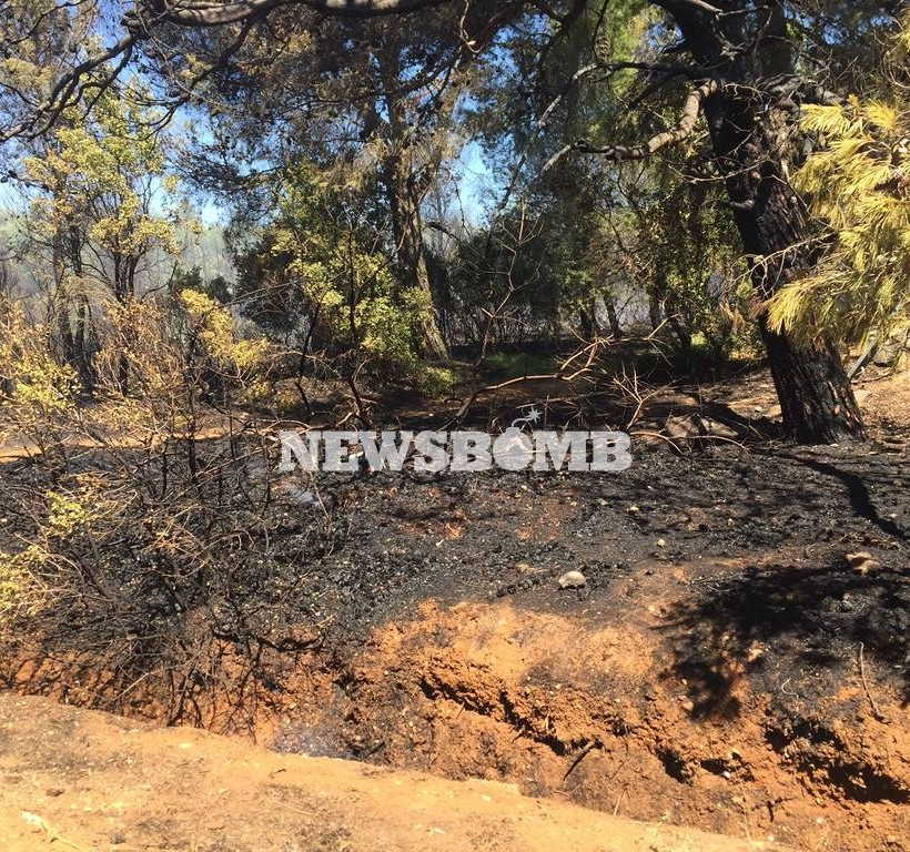 ΦΩΤΙΑ ΤΩΡΑ: Μεγάλη πυρκαγιά μαίνεται στο Κρυονέρι