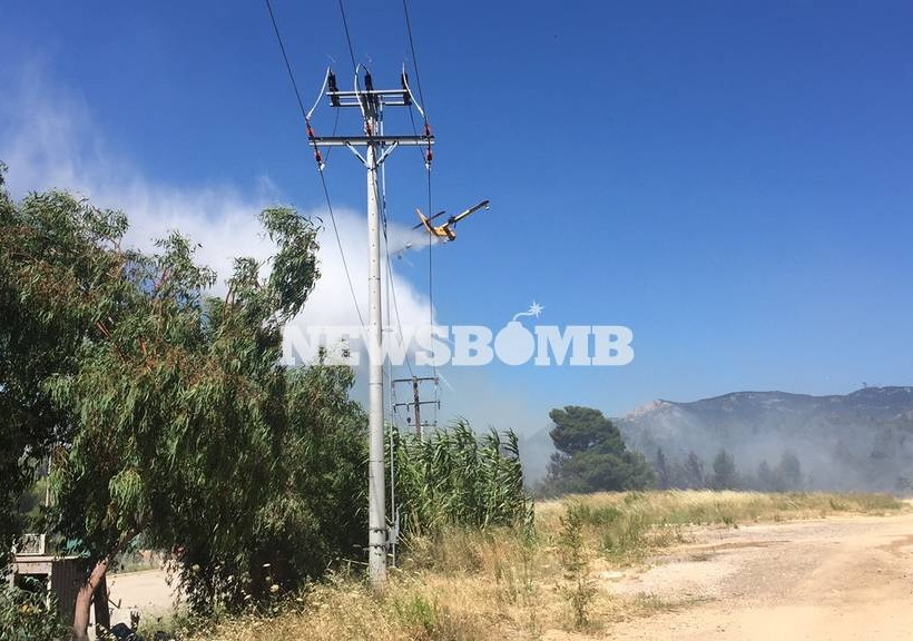 ΦΩΤΙΑ ΤΩΡΑ: Μεγάλη πυρκαγιά μαίνεται στο Κρυονέρι