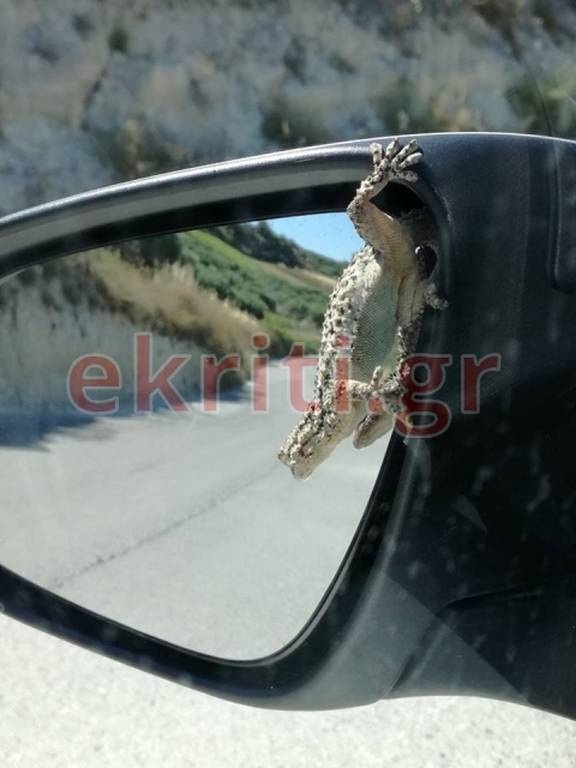 Κρήτη: Κοίταξε τον καθρέφτη του αυτοκινήτου του και παραλίγο να τρακάρει (photos)