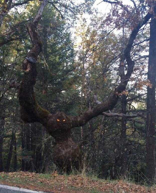 Viral: Όταν ο «βανδαλισμός» γίνεται τέχνη (Pics)
