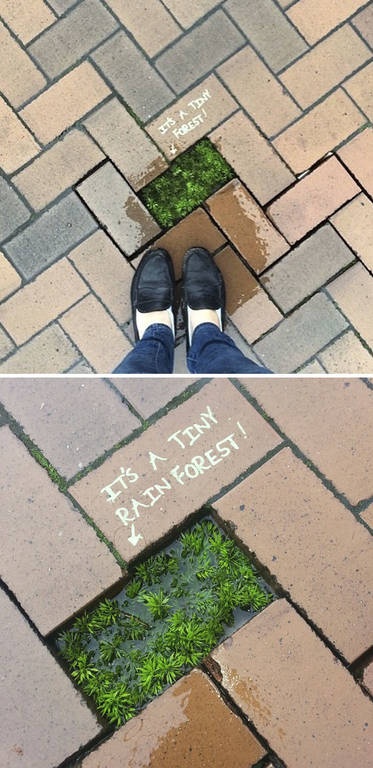 Viral: Όταν ο «βανδαλισμός» γίνεται τέχνη (Pics)