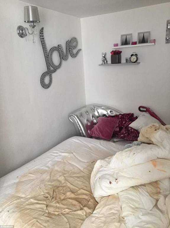 Ο νοικάρης που κανείς δεν θα ήθελε: Περιττώματα, σκουπίδια και ανυπολόγιστες ζημιές 