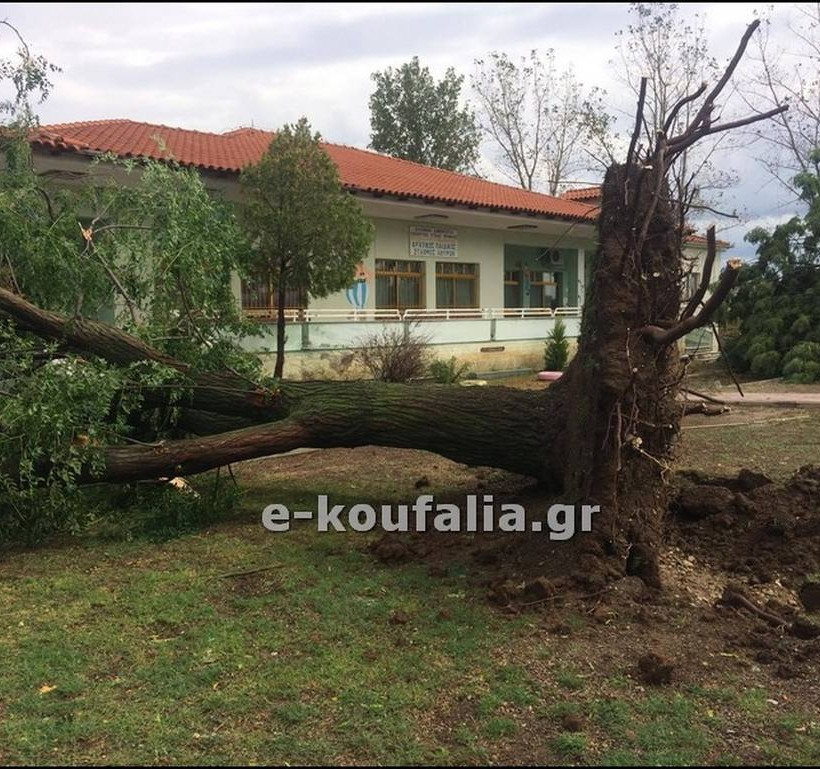 Καταστροφές από την κακοκαιρία που έπληξε την Πέλλα – Δέντρα έπεσαν πάνω σε σπίτια (pics & vid)