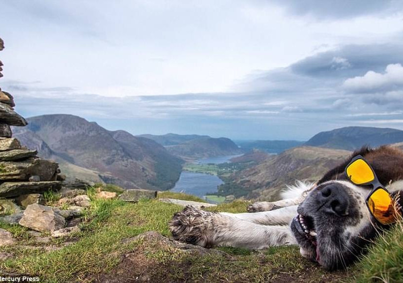 Οικογένεια γυρίζει τον κόσμο με την πιο απρόσμενη παρέα (photos)