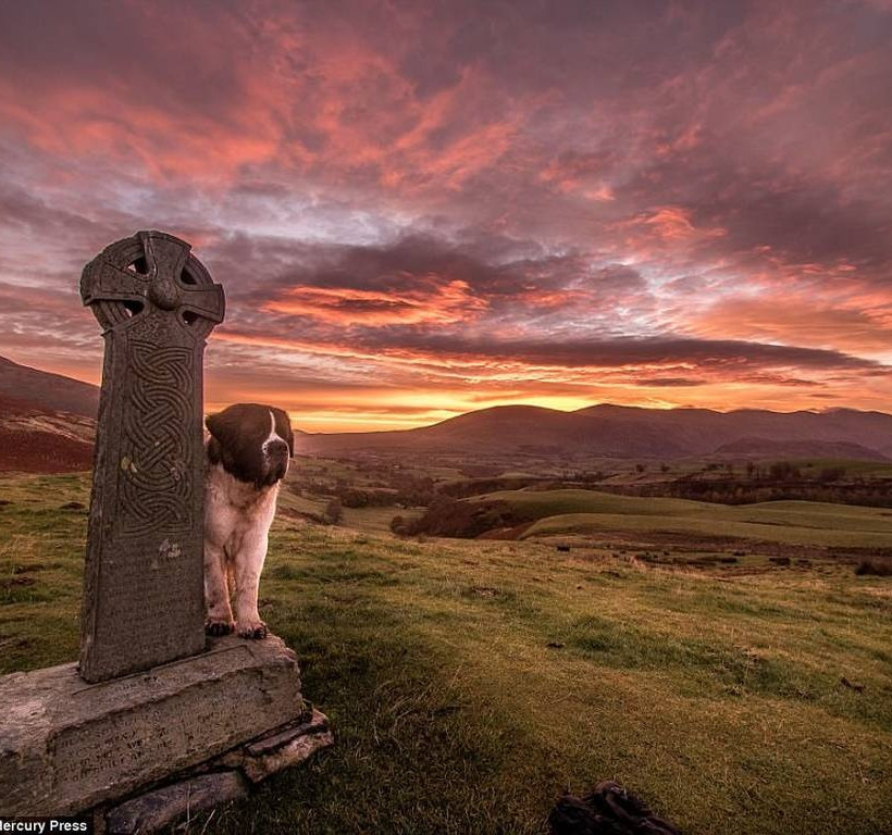 Οικογένεια γυρίζει τον κόσμο με την πιο απρόσμενη παρέα (photos)