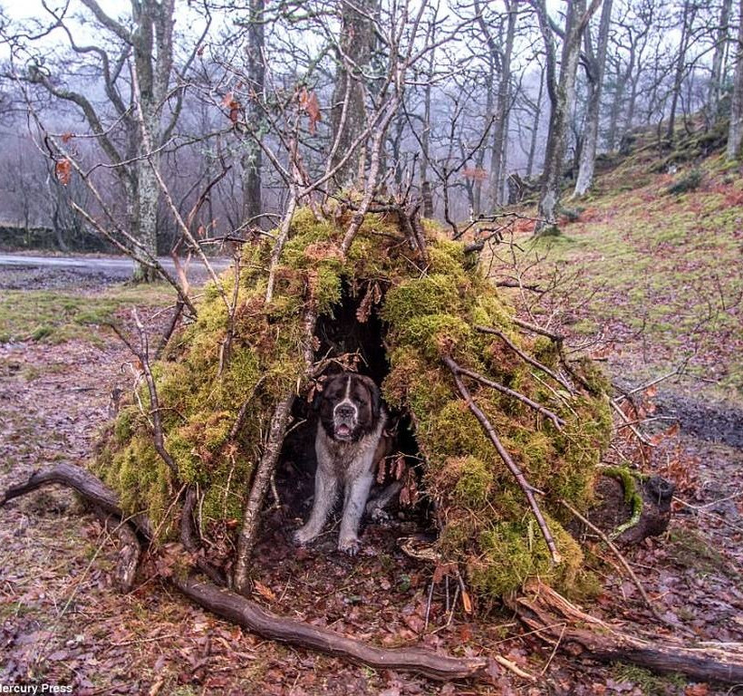 Οικογένεια γυρίζει τον κόσμο με την πιο απρόσμενη παρέα (photos)