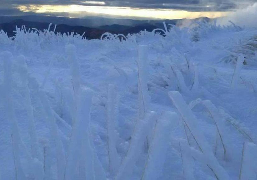 Καιρός LIVE: Το έστρωσε σε αρκετές περιοχές – Δείτε πού χιονίζει ΤΩΡΑ