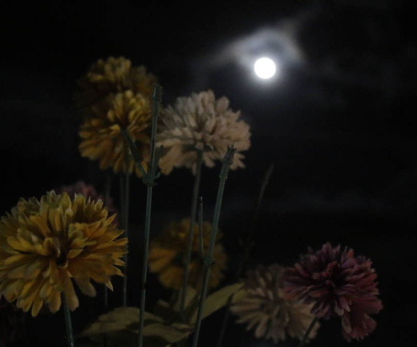 Σούπερ Σελήνη: Δείτε το φαινόμενο που μάγεψε τον κόσμο (pics)