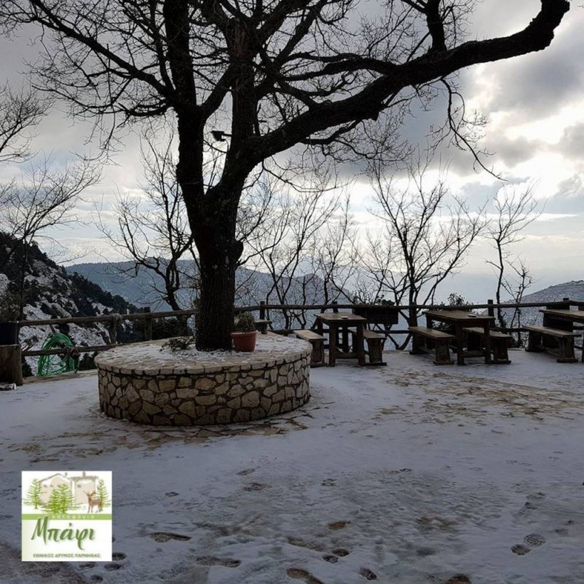 ΕΚΤΑΚΤΟ – Καιρός για χιόνια στην Αθήνα: Το «έστρωσε» στην Πάρνηθα – Δείτε φωτογραφίες 