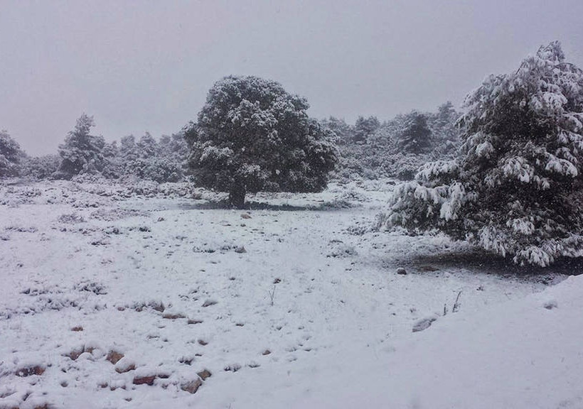 Κακοκαιρία: Σε λευκό κλοιό η Ελλάδα - Πολικές θερμοκρασίες και θυελλώδεις άνεμοι σαρώνουν τη χώρα