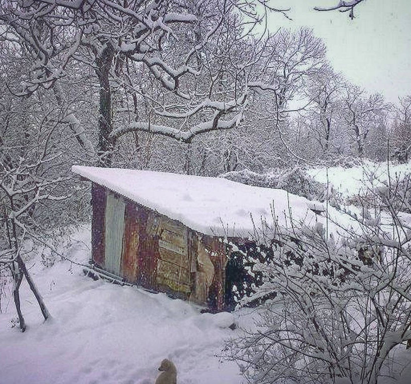 Κακοκαιρία: Σε λευκό κλοιό η Ελλάδα - Πολικές θερμοκρασίες και θυελλώδεις άνεμοι σαρώνουν τη χώρα
