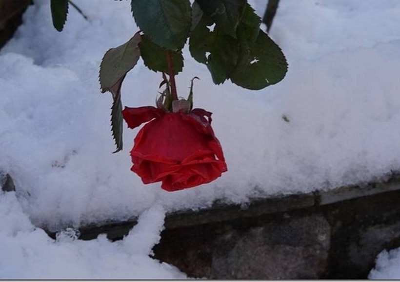 Στα λευκά η όμορφη Αμφίκλεια (pics)